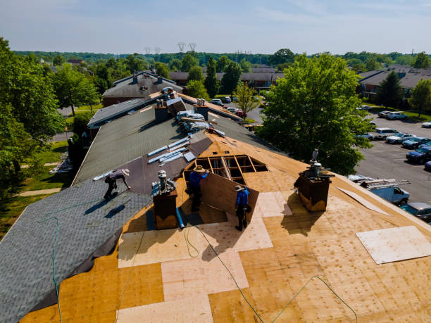 Quick and Trustworthy Emergency Roof Repair Services in San Benito, TX